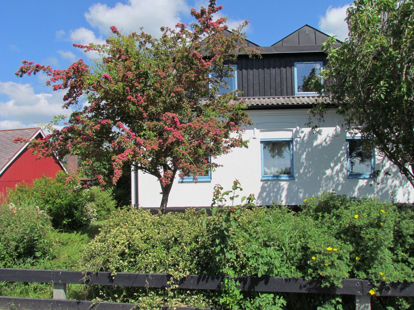 Karmelitbrödernas kloster i Norraby i Skåne, juni 2021, Fot: Gråbröderna