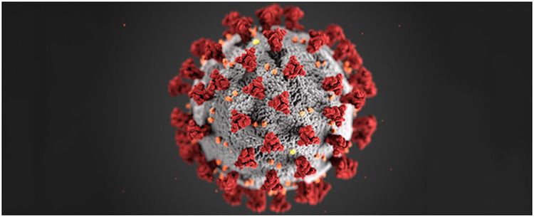 Corona virus i många starkare varianter