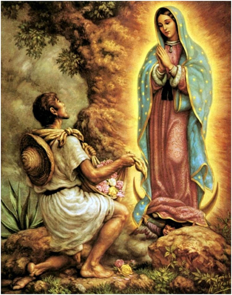 Nådebilden av Vår Fru och Moder av Guadalupe och några märkliga fenomen