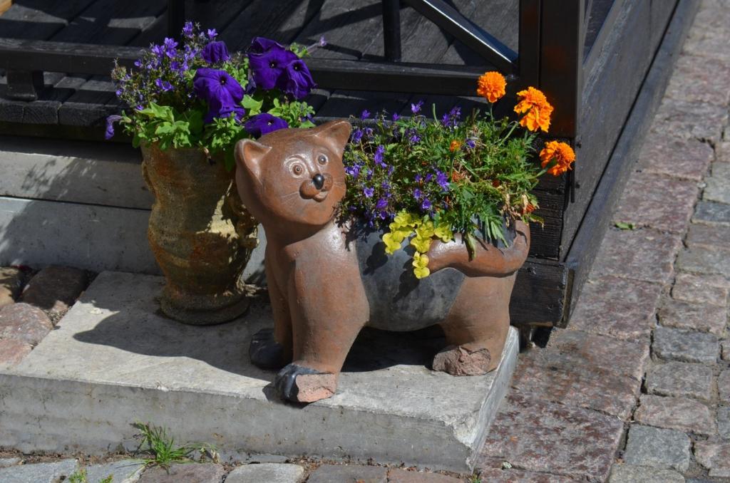 Vackra Skandinavien, Gränna och Visingsö i juni 2019, Foto: Broder Kssael