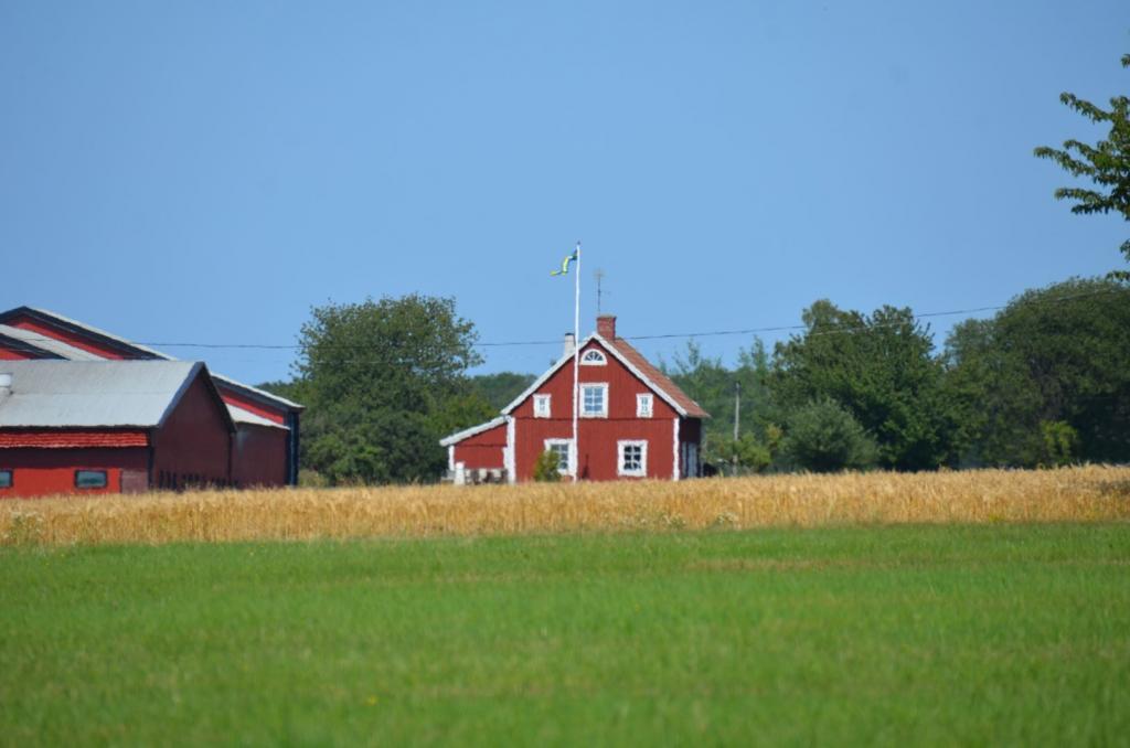 Vackra Skandinavien, Gränna och Visingsö i juni 2019, Foto: Broder Kssael