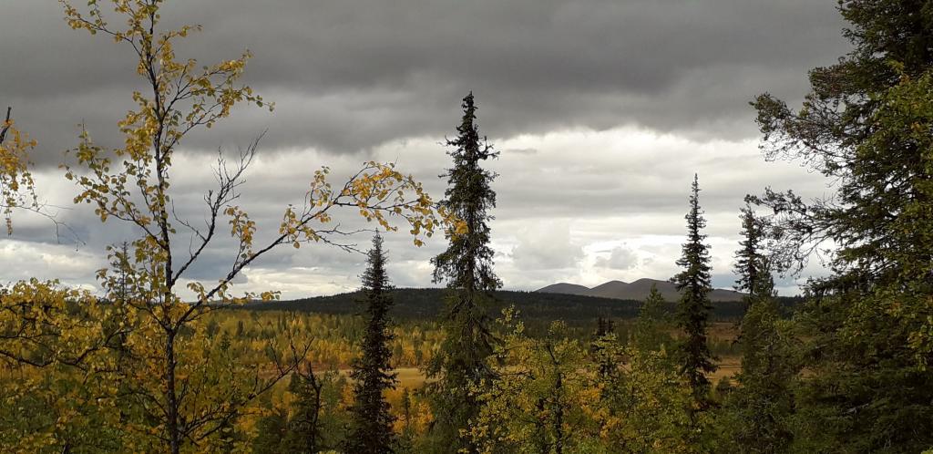 Lappland 2020, Foto: Pater Bengt OSB