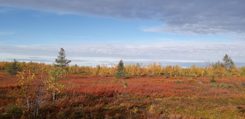 Lappland 2020, Foto: Pater Bengt OSB