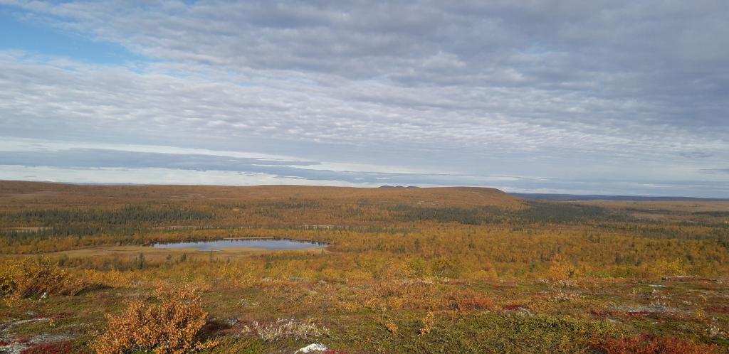 Lappland 2020, Foto: Pater Bengt OSB