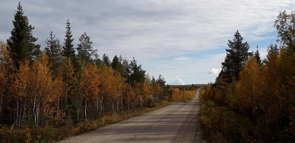 Lappland 2020, Foto: Pater Bengt OSB