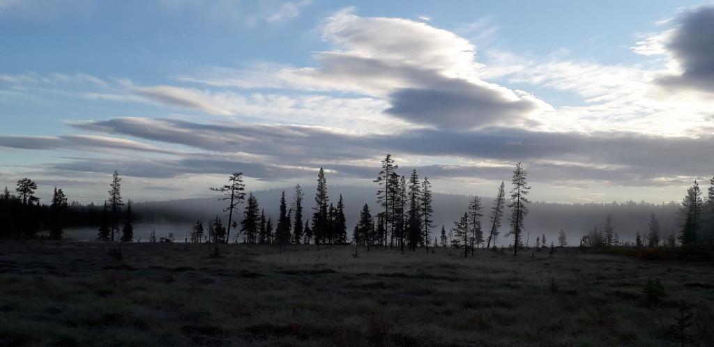 Lappland 2020, Foto: Pater Bengt OSB