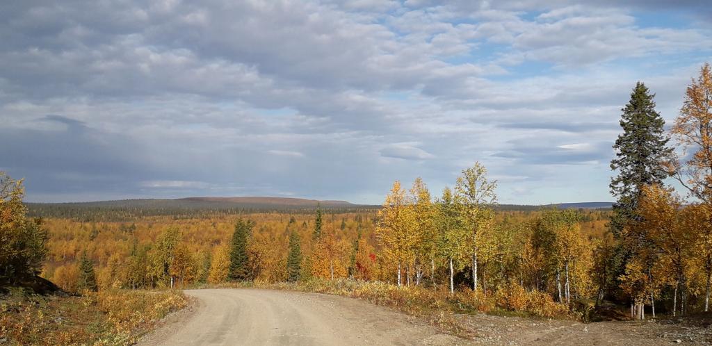 Lappland 2020, Foto: Pater Bengt OSB