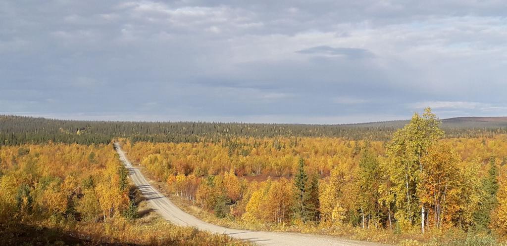 Lappland 2020, Foto: Pater Bengt OSB