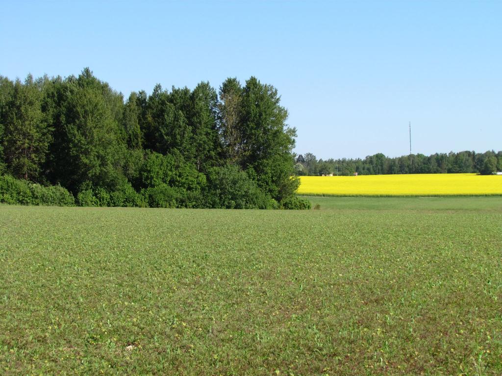 Omberg med omgivningar i juni 2021. Foto: Gråbröderna