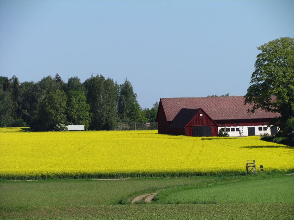 Omberg med omgivningar i juni 2021. Foto: Gråbröderna