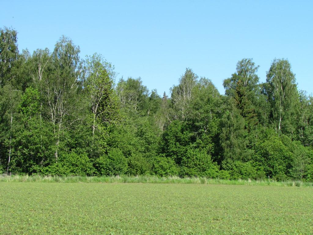 Omberg med omgivningar i juni 2021. Foto: Gråbröderna