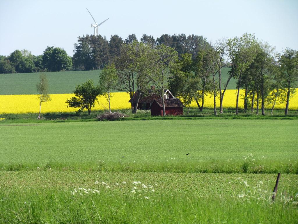 Omberg med omgivningar i juni 2021. Foto: Gråbröderna