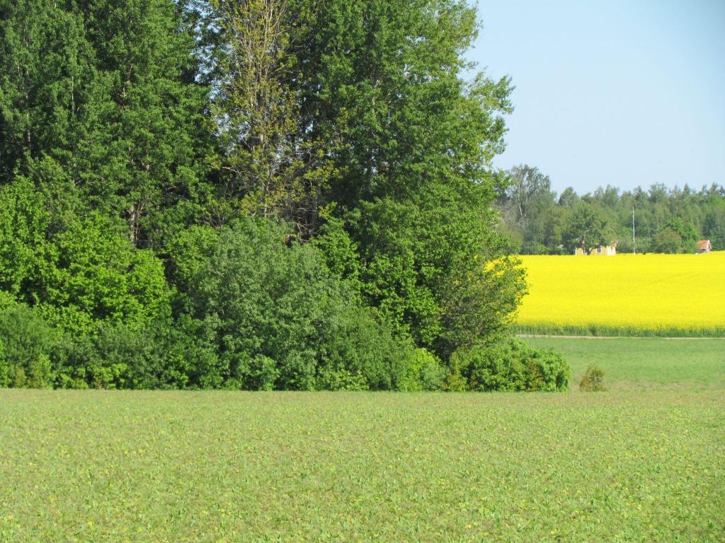 Omberg med omgivningar i juni 2021. Foto: Gråbröderna