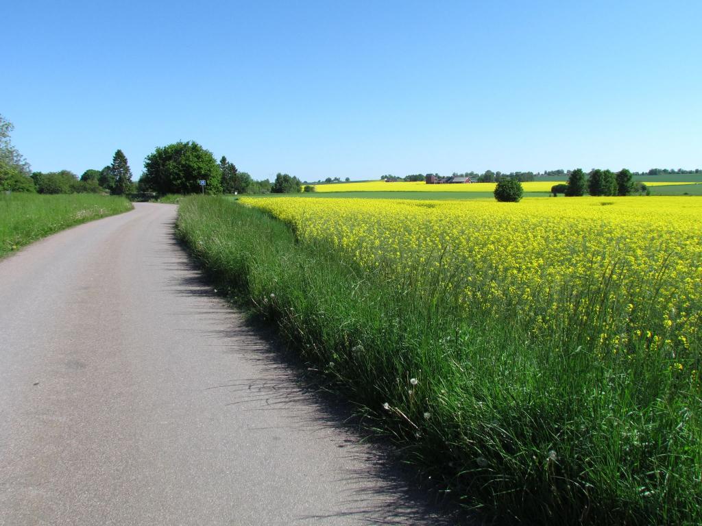 Omberg med omgivningar i juni 2021. Foto: Gråbröderna