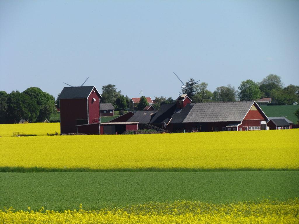 Omberg med omgivningar i juni 2021. Foto: Gråbröderna