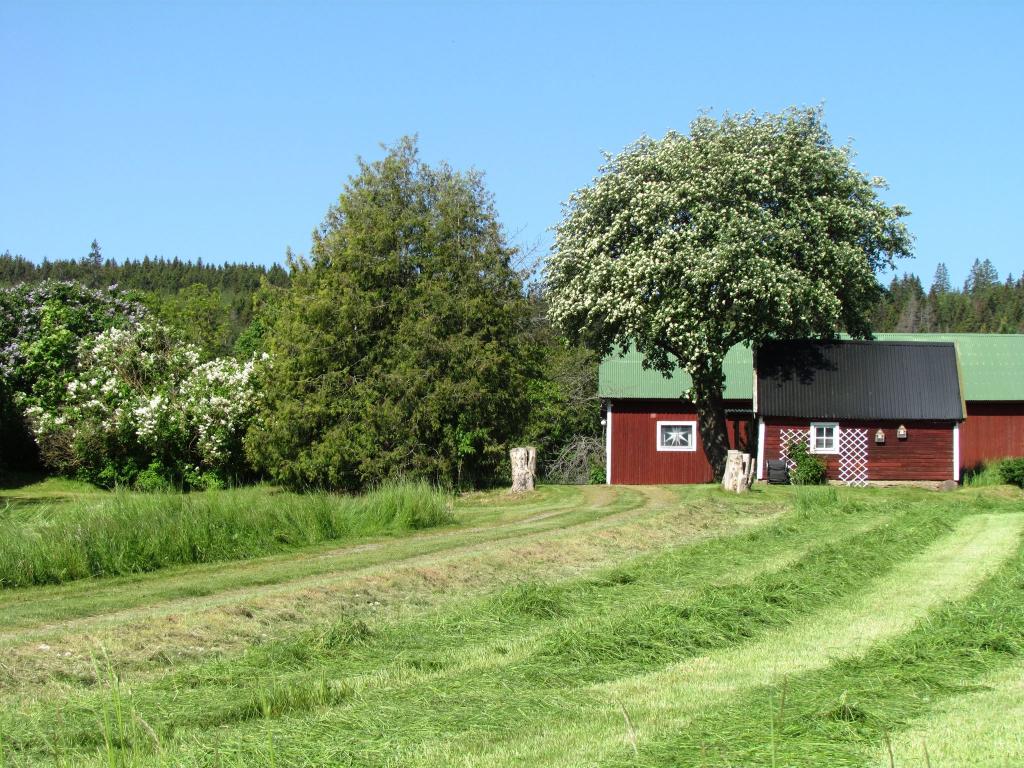 Omberg med omgivningar i juni 2021. Foto: Gråbröderna