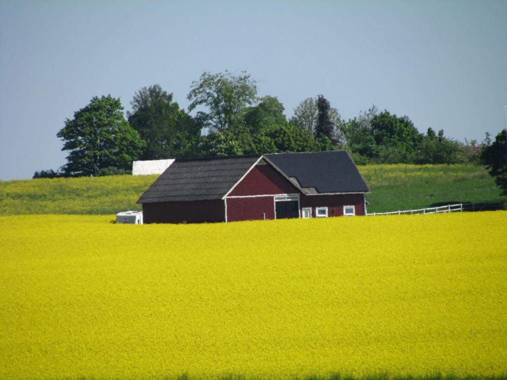 Omberg med omgivningar i juni 2021. Foto: Gråbröderna