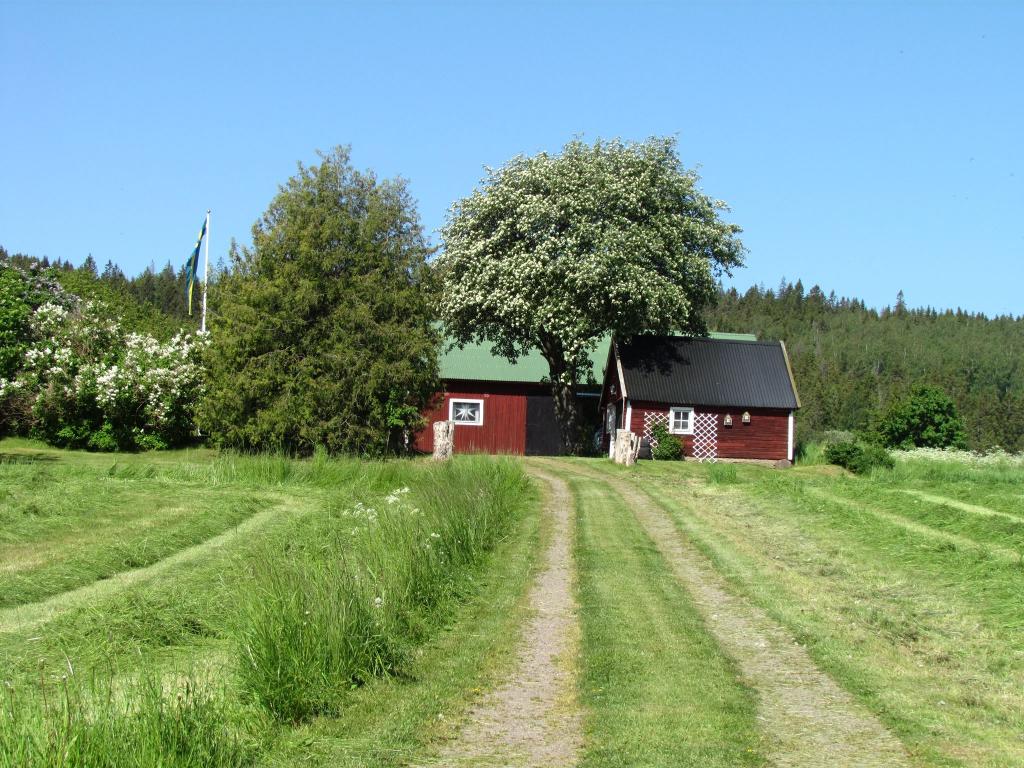 Omberg med omgivningar i juni 2021. Foto: Gråbröderna