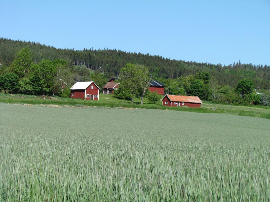 Omberg med omgivningar i juni 2021. Foto: Gråbröderna