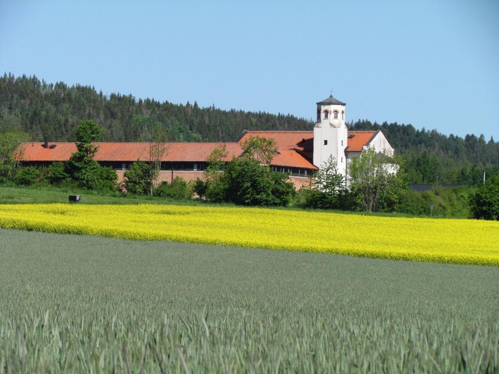 Omberg med omgivningar i juni 2021. Foto: Gråbröderna