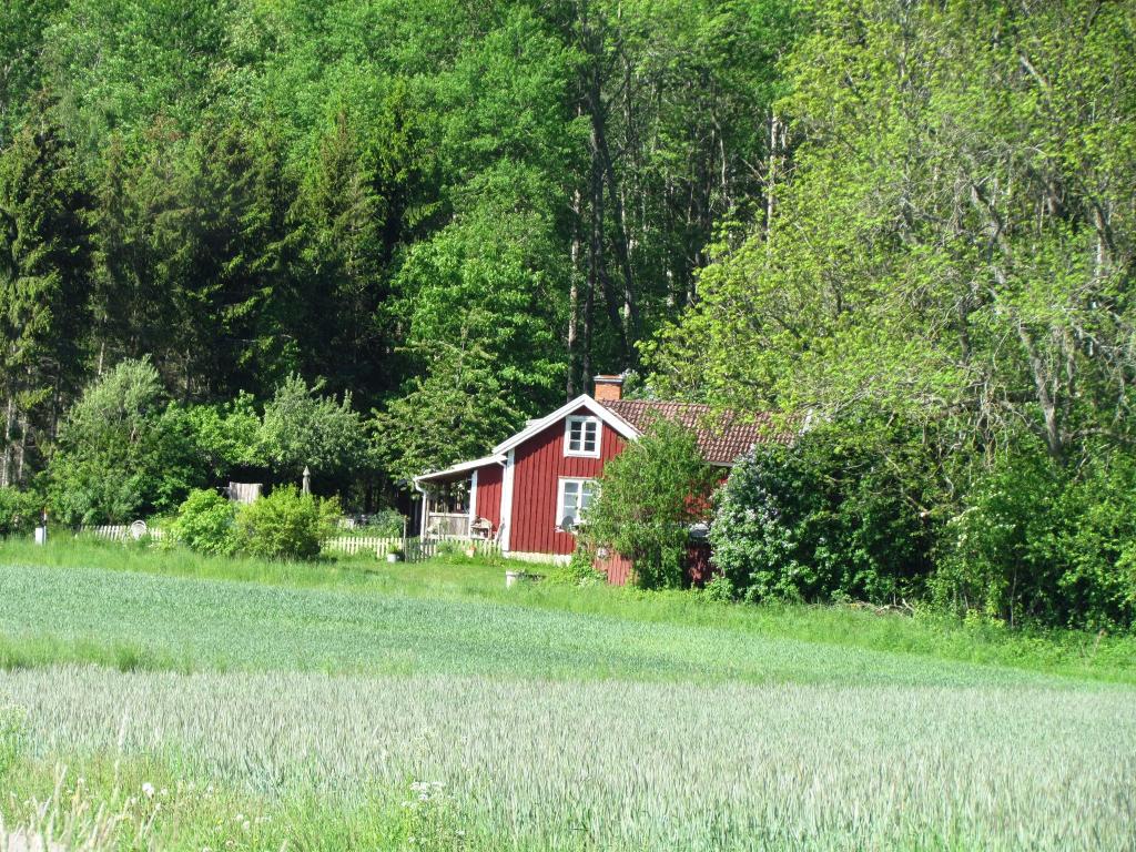 Omberg med omgivningar i juni 2021. Foto: Gråbröderna