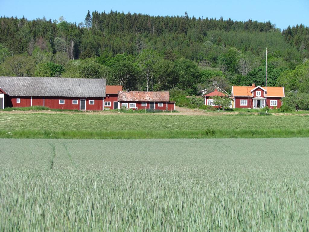 Omberg med omgivningar i juni 2021. Foto: Gråbröderna