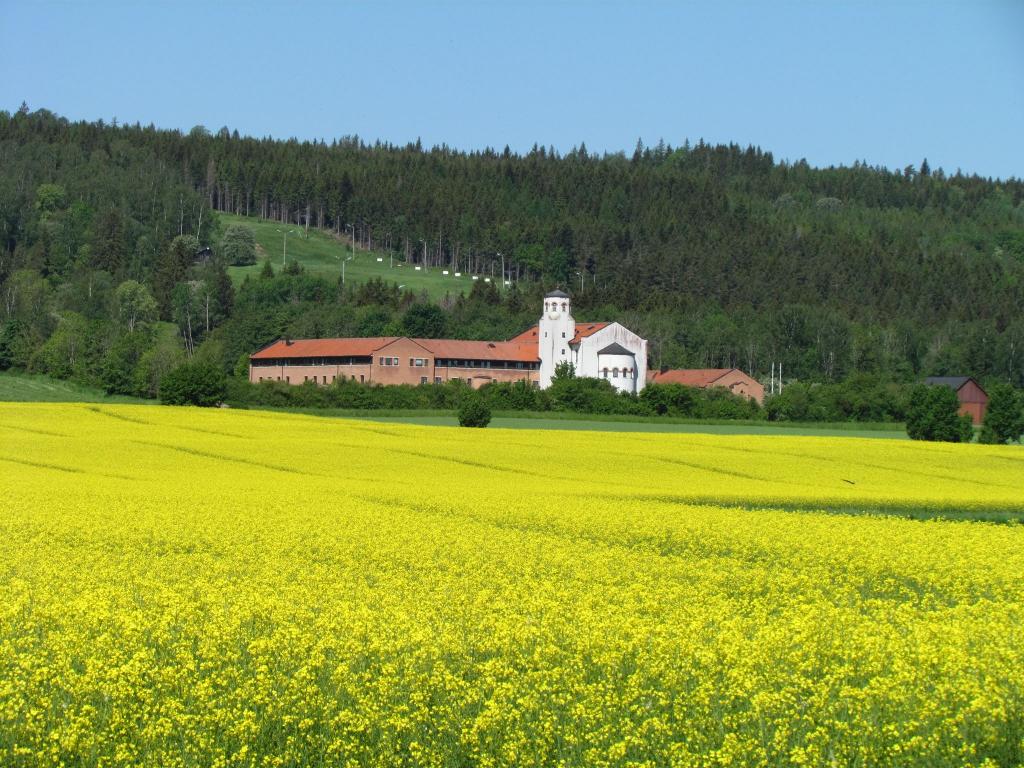 Omberg med omgivningar i juni 2021. Foto: Gråbröderna