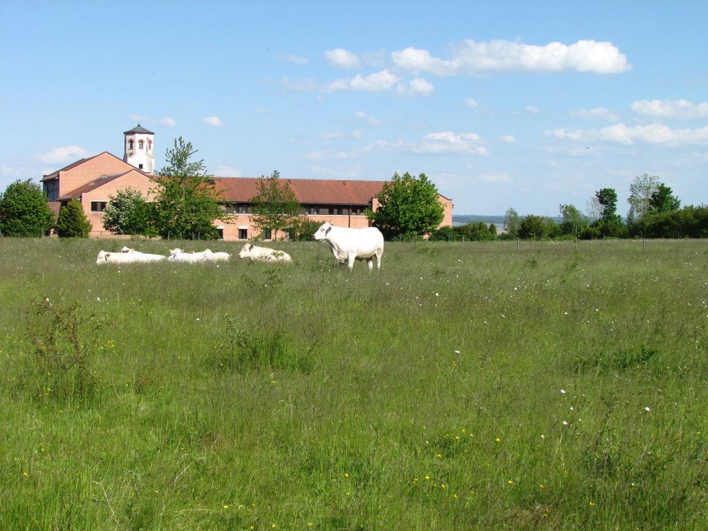 Omberg med omgivningar i juni 2021. Foto: Gråbröderna