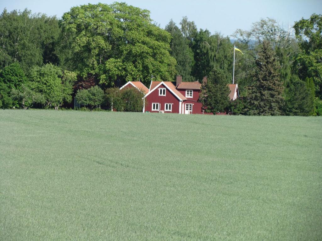 Omberg med omgivningar i juni 2021. Foto: Gråbröderna