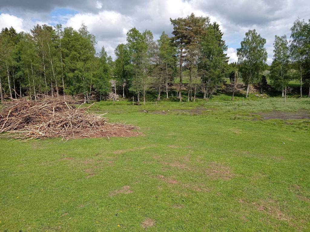 Skullaryd Älgpark - vilda djur i naturlig miljö, juni 2022