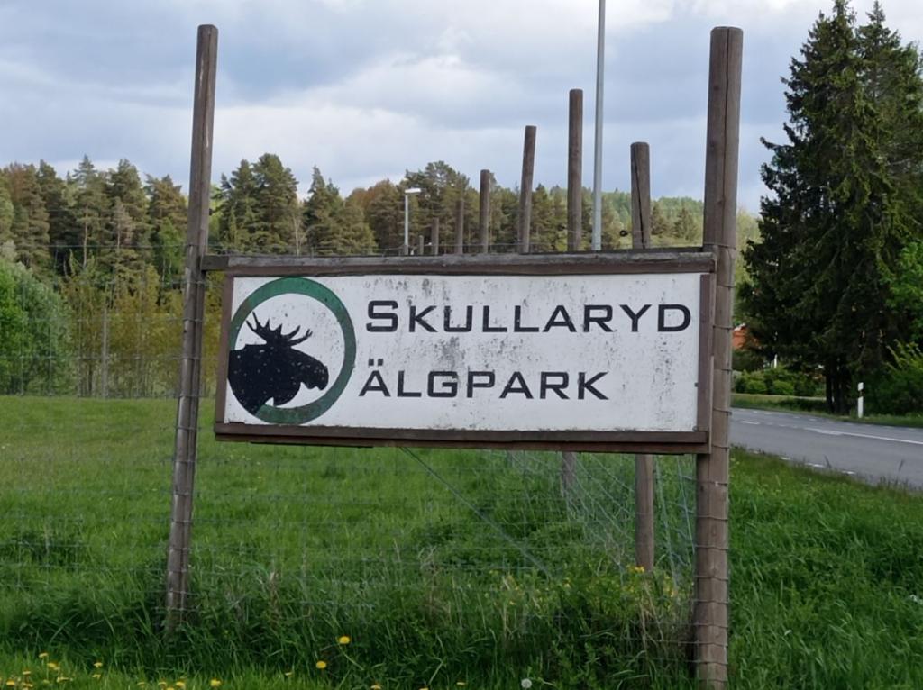 Skullaryd Älgpark - vilda djur i naturlig miljö, juni 2022