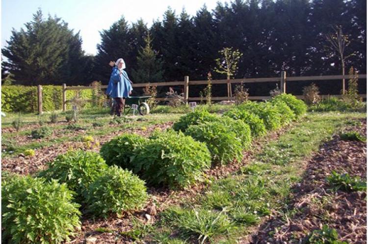 Sister Anne-Sophie in the medicinal garden