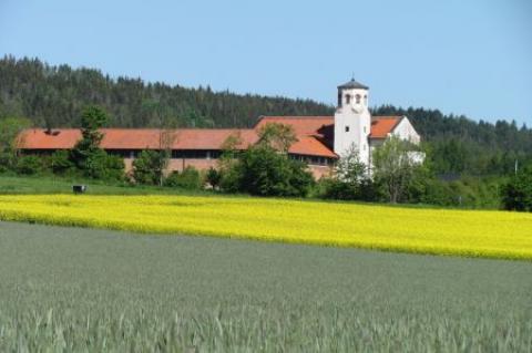 Omberg med omgivningar i juni 2021. Foto: Gråbröderna