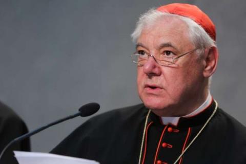 Cardinal Gerhard Ludwig Mueller. Credit: Daniel Ibanez/CNA