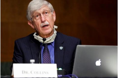 Dr Francis Collins