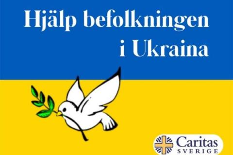 Kriget i Ukraina