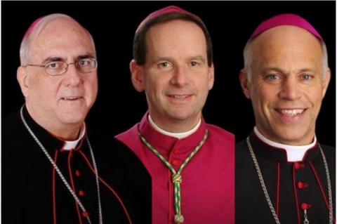 Ärkebiskop Joseph Naumann, biskop Michael Burbidge och ärkebiskop Salvatore Cordileone och andra framstående katoliker delar med sig av personliga berättelser om hur rosenkransen har påverkat dem.