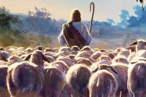 Jesus, den gode herden