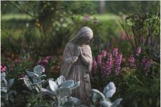 Familjen Malloys Mary-trädgård